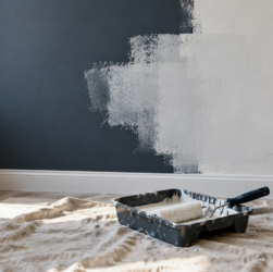 Parete blu scuro parzialmente ricoperta di pittura bianca, con rullo, vaschetta e secchio su un telo protettivo